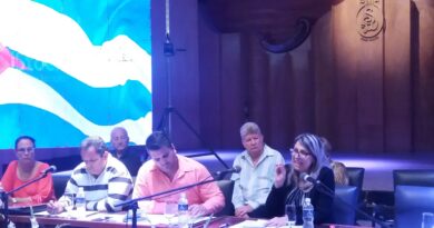 Viceministra de Cultura insistió en pensar la cultura desde la ciencia y la innovación.
