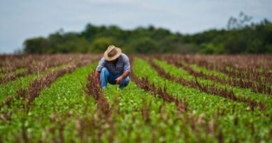 La agricultura en Colón precisa acciones concretas para la producción de alimentos