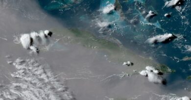 Cada año las nubes de polvo del Sahara se levantan desde el continente africano y avanzan en dirección oeste, bajo el flujo de los vientos alisios, propagándose a través del océano Atlántico, hasta llegar al mar Caribe, el sudeste de Estados Unidos, México y Centroamérica. Son generadas por las tormentas de arena y polvo del desierto del Sahara y la región del Sahel, alcanzan alturas de tres a siete kilómetros, y suelen venir cargadas de material particulado pm 10 y pm 2,5, altamente nocivos para la salud humana. También contienen minerales como hierro, calcio, fósforo, silicio y mercurio, además de virus, bacterias, hongos, ácaros patógenos, estafilococos y otros compuestos. El doctor en Ciencias Físicas Eugenio Mojena López, asesor del Centro de Pronósticos del Instituto de Meteorología y pionero de los estudios sobre el tema en nuestro país, explicó a Granma que la transportación a larga distancia de esa alta carga de contaminantes, afecta al medioambiente en general, con énfasis en los ecosistemas marinos, al repercutir en el declive de las poblaciones de arrecifes coralinos (propician que puedan ser atacados por un hongo endémico de África transportado por ellas), y favorecer la proliferación de los denominados eventos de marea roja, asociados a grandes floraciones de algas, muchas de ellas tóxicas. “Las primeras nubes de polvo arriban generalmente al mar Caribe a partir del mes de marzo (en la parte oriental, próximas a la costa de Venezuela, pueden hacerlo en febrero). Ese proceso se va intensificando y alcanza su máximo en los meses de junio y julio, para comenzar a declinar en septiembre, y fijar su mínimo en octubre”. Para Cuba en particular, precisó, el máximo de frecuencia de días con nubes de polvo del Sahara ocurre entre mayo y agosto, pero, al igual que se observa en el resto del área del mar Caribe, los picos se producen en junio y julio. Crecuente problema ambiental Según la conferencia impartida por el doctor Mojena López en el Taller de contaminación atmosférica Contat 2023, en los últimos años las investigaciones científicas han establecido la existencia de un vínculo entre las nubes de polvo del Sahara y el creciente aumento de los eventos de mareas rojas en la región del Caribe. El aporte de fósforo, hierro y otros nutrientes contenidos en ellas, subrayó el especialista, fertiliza la franja marina del Atlántico extendida hasta el arco de las Antillas Menores, y penetra en las aguas del Caribe, favoreciendo el crecimiento y reproducción de las algas de sargazo. “Desde 2011, el manto de algas pardas viene invadiendo cada año mayor cantidad de playas en México, Belice, Martinica, Jamaica, República Dominicana, Barbados, e incluso, en las del sur de la Florida”. En marzo pasado, aseveró el experto, los volúmenes que flotaban en el llamado Gran Cinturón de Sargazo del Atlántico eran los más grandes observados para el tercer mes del calendario, al acumular alrededor de 13 millones de toneladas (la densidad del sargazo muestra su punto máximo en junio y julio), mientras las perspectivas apuntaban a que en 2023 la proliferación podría ser la mayor jamás registrada. Semanas después, la Secretaría de Marina de México advirtió que se esperaba la llegada masiva al país de más de 32 millones de toneladas de sargazo en el transcurso del presente año, cifra sin precedentes documentados. Al copar de forma tan abrumadora la zona cercana a la orilla y las áreas costeras, la acumulación de sargazos obstaculiza el proceso de fotosíntesis de muchas especies, incluidos los corales, provocando significativos perjuicios a la biodiversidad, como es la pérdida de extensas praderas de pasto marino y la eutrofización acelerada de los manglares, pastizales y arrecifes, induciendo cambios potencialmente irreversibles en estos ecosistemas costeros vulnerables. De acuerdo con lo planteado por el doctor Mojena López, al recibir un exceso de nitrógeno y fósforo, el sargazo puede duplicar su biomasa en un periodo breve, si a la vez encuentra otras condiciones favorables para su crecimiento. “Una vez que ocurre el depósito de grandes volúmenes de macroalgas en la orilla, estas comienzan a descomponerse, al consumir elevadas cantidades de oxígeno, liberando gases tóxicos como el metano, sulfuro de hidrógeno y amoníaco, además de metales pesados, entre ellos arsénico y cadmio”. Los mencionados compuestos son altamente peligrosos para la salud humana, pues su inhalación puede inducir cambios neurológicos y cardiovasculares, dificultad para respirar, náuseas, mareos, dolor de cabeza, vértigo y erupciones en la piel. Vale aclarar que en alta mar los sargazos desempeñan un protagonismo vital en el mantenimiento del equilibrio ecológico, al servir de refugio y fuente de alimentación para la fauna oceánica.
