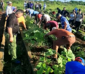 Hace dos años se rescató el zeopónico de Cárdenas. Foto Durán Gómez.