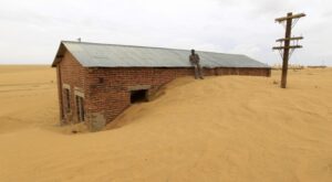 El Día Mundial de Lucha contra la Desertificación y la Sequía