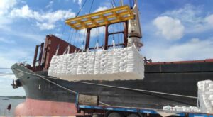 Arriba buque de trigo para garantizar la producción de pan