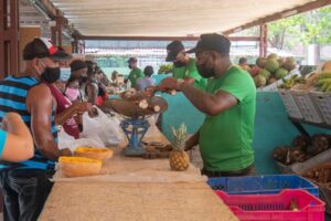 Potencian en Matanzas control a precios y producción de alimentos