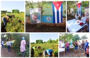 Trabajo voluntario en el barrio en transformación y labores de limpieza y embellecimiento de la zona.