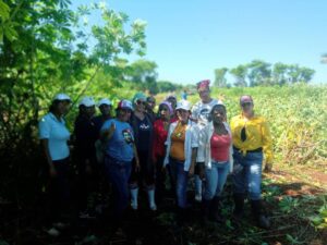 Las máximas autoridades locales colaboraron en un masivo trabajo voluntario agrícola.