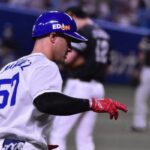 Resumen del béisbol cubano