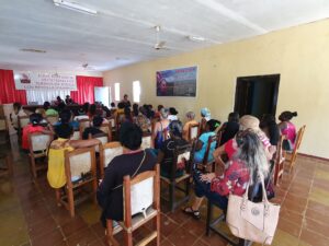 Trabajo en comisiones para la Asamblea XI Congreso de la FMC.