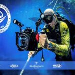 En Varadero concursantes de fotografía subacuática