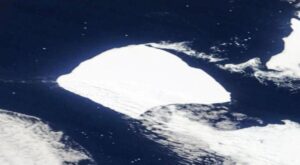 Iceberg más grande del mundo se desatasca tras tres décadas varado y se dirige al Atlántico