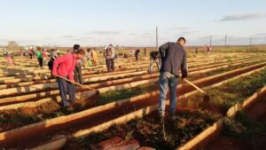 Jóvenes se vincularán a la producción de alimentos
