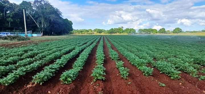 agroecología