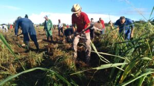 CTC reconoce aporte obrero en recuperación de zeopónico de Cárdenas