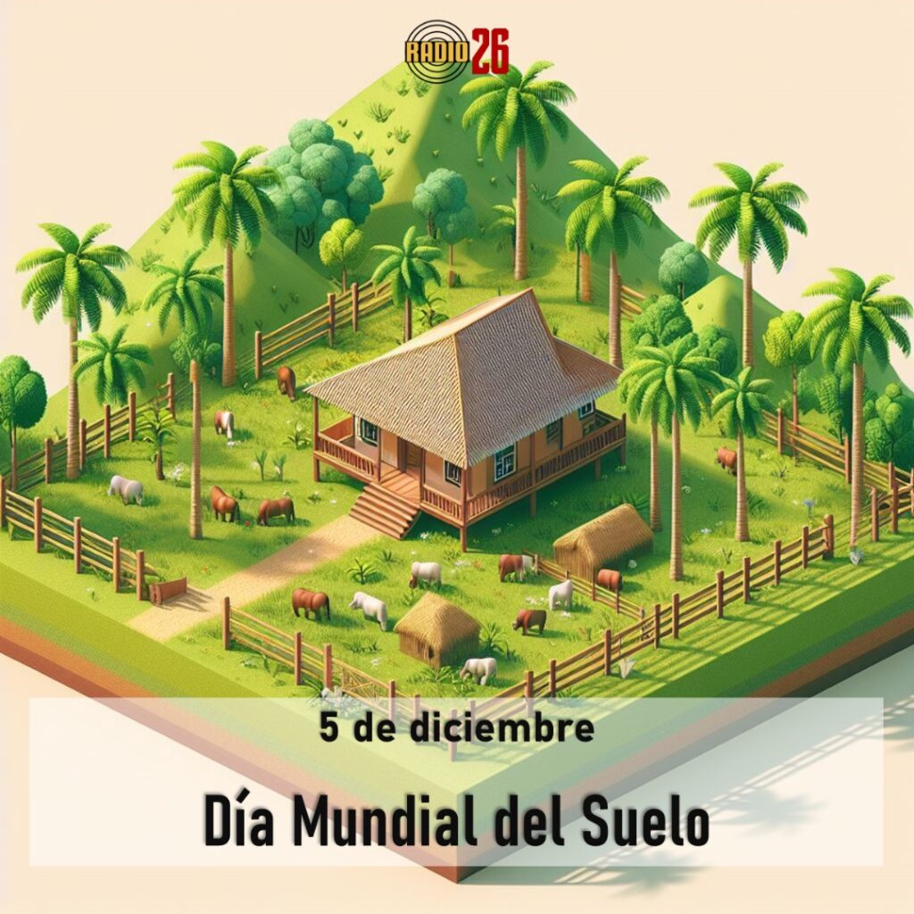 5 de diciembre - Día Internacional de los Suelos