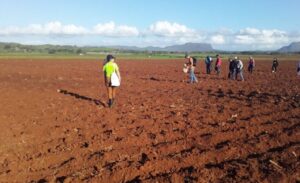 Procurará Matanzas mayor ordenamiento en el uso de la tierra