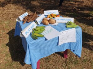 Muestra de alimentos de la escuela politécnica "Leonor Pérez Cabrera".