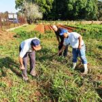 Contribuye el estudiantado al desarrollo agrícola de Pedro Betancourt