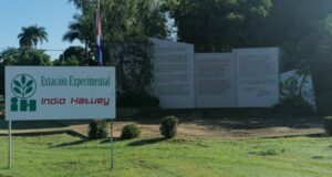 Desarrolla Indio Hatuey acciones de capacitación sobre agricultura sostenible