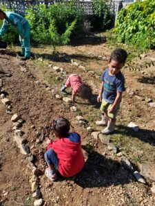 "Amiguitos de la Paz" en el camino de la soberanía alimentaria