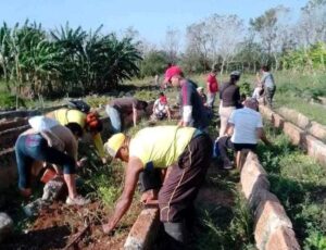 Primero de Mayo: Provechosa jornada productiva en Matanzas
