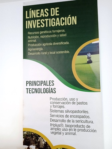 universidad