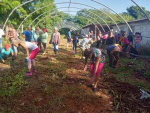 Cambio de labor en el organopónico de la entidad tabacalera MP-2 "Navajas" de Pedro Betancourt.