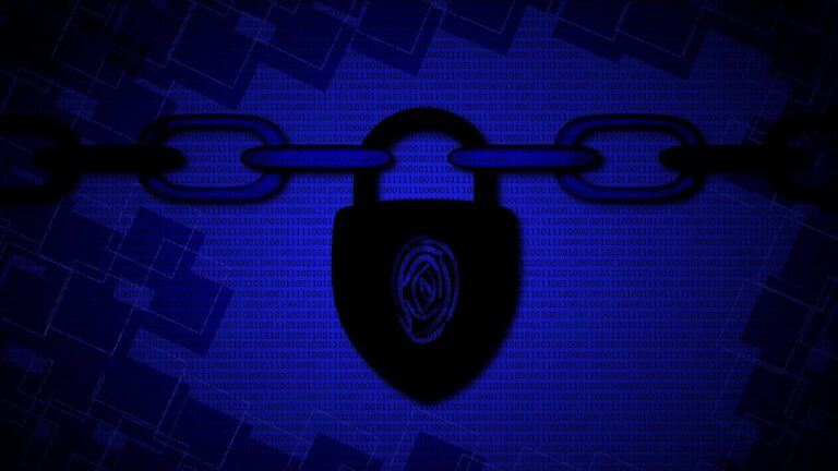La ciberseguridad protege la información personal y empresarial de amenazas digitales, asegurando la confidencialidad, integridad y disponibilidad de los datos en un entorno cada vez más conectado. Imagen de ChiaJo en Pixabay