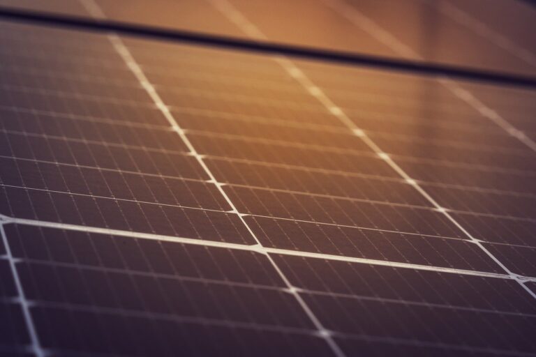 Cada parque estará compuesto por mil 638 mesas, cada una con 26 paneles solares, sumando un total de 42 mil 588 paneles. Imagen de Michael Pointner en Pixabay