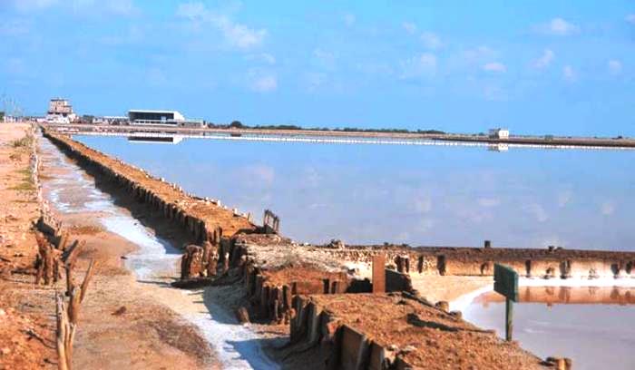 salina