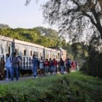 tren universitario