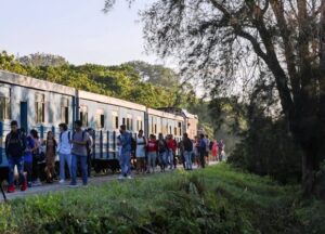 tren universitario