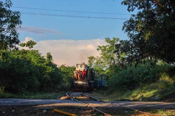 tren universitario